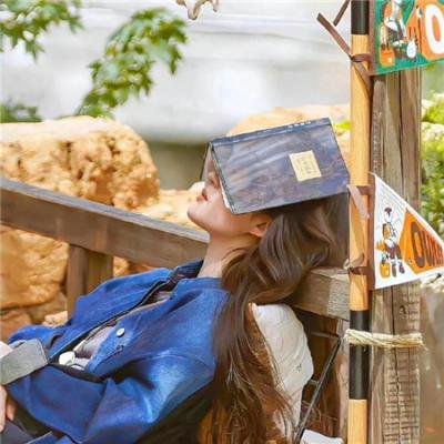 特别行动:母狮第二季